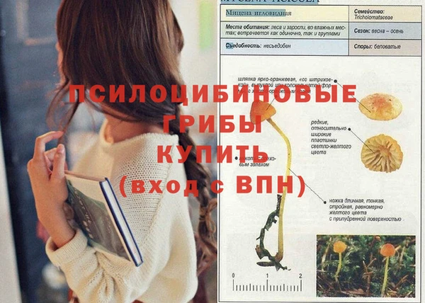 дмт Киренск