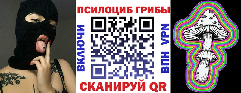Купить закладки  Вольск  Галлюциногенные грибы Cubensis 